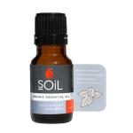 Organic Spearmint Essential Oil