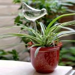 5PCS Birdie Automatic Watering Stakes 10.01X24.99CM Clear Portable Drip Irrigation System For Home Gardening & Balcony Succulent