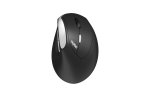 Rapoo EV250 – Ergo Wireless Optical Mouse
