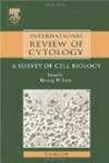 International Review Of Cytology, Volume 236: A Survey of Cell Biology International Review of Cell and Molecular Biology v.