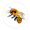 simplybee